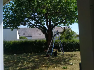 Réalisations