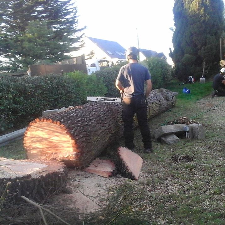 Débroussaillage de terrains en friche